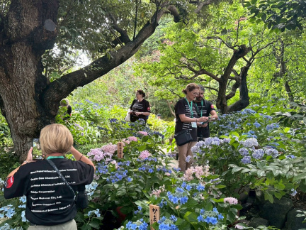 LINE ALBUM IRG56 250630 154