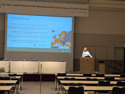 PXL 20250626 020146769